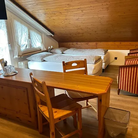 Hotel Adonis 3*