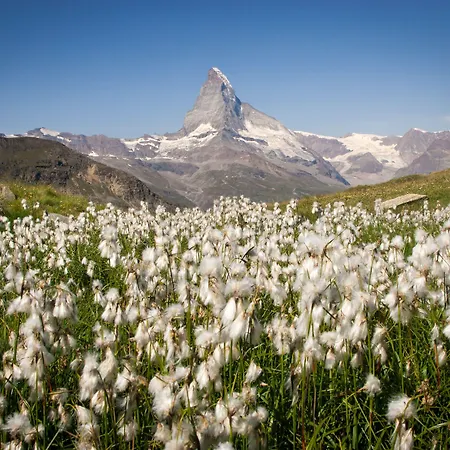 Adonis Hotel Zermatt