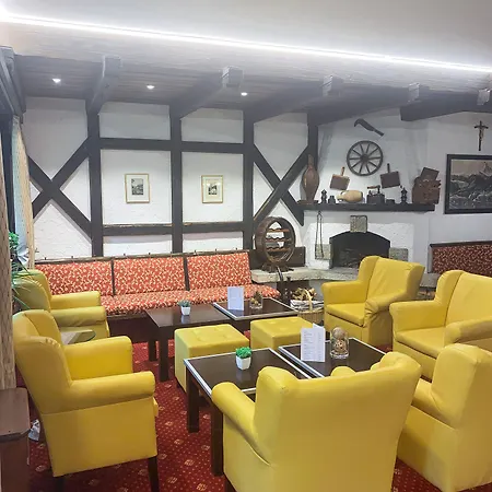 酒店 阿多尼斯酒店 采尔马特