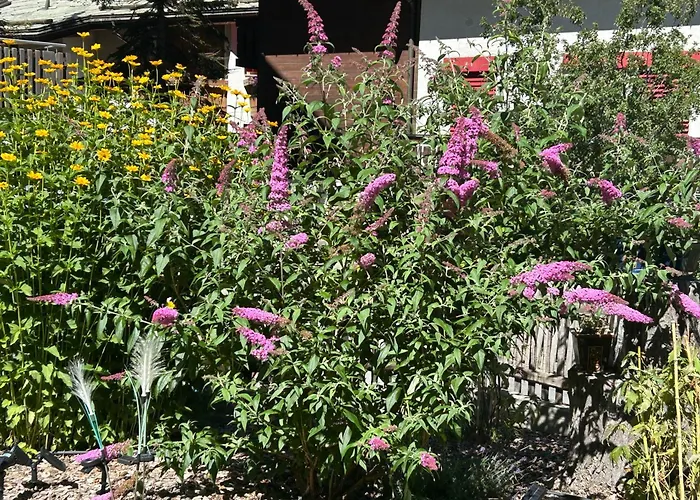 ホテル アドニス 3*